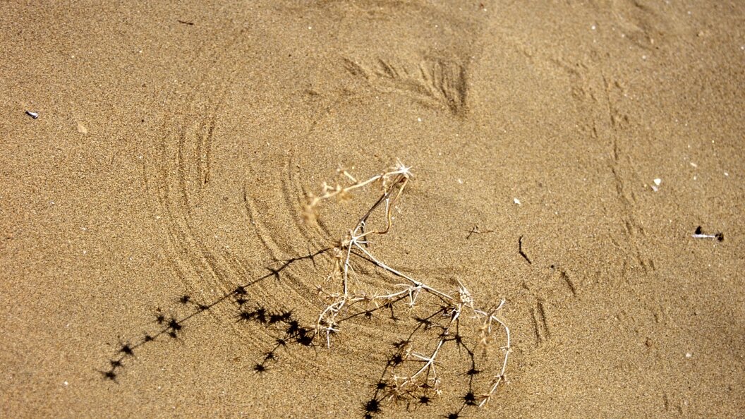    Boris Rezvantsev/Globallookpress