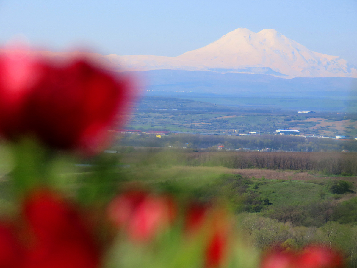 Вид на Эльбрус с горы Лысая (апрель 2025 года)