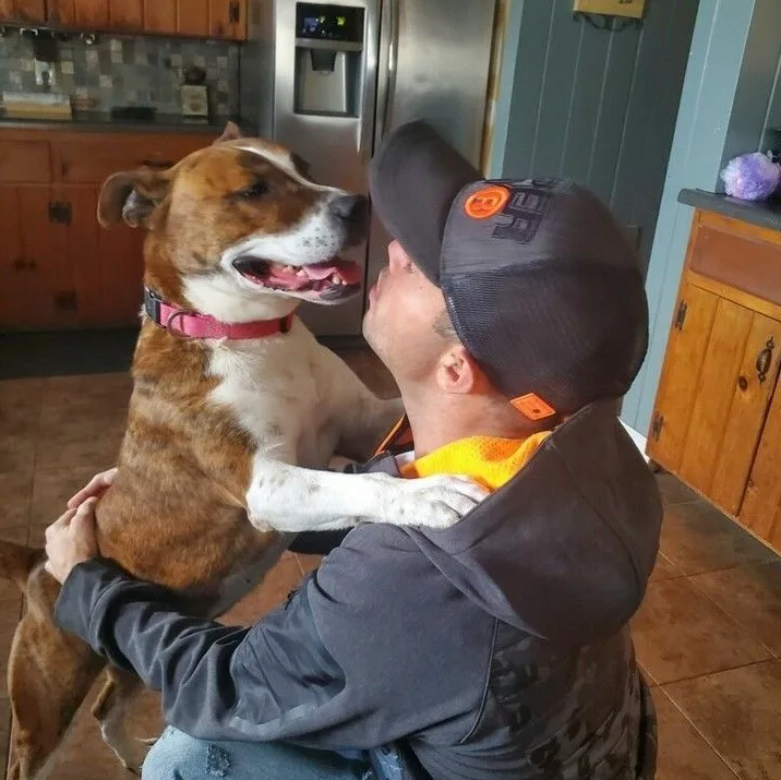 собака смотрит с любовью, почему собака пристально смотрит