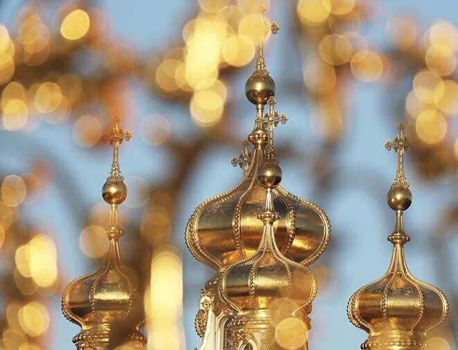 Источник фото Яндекс картинки 