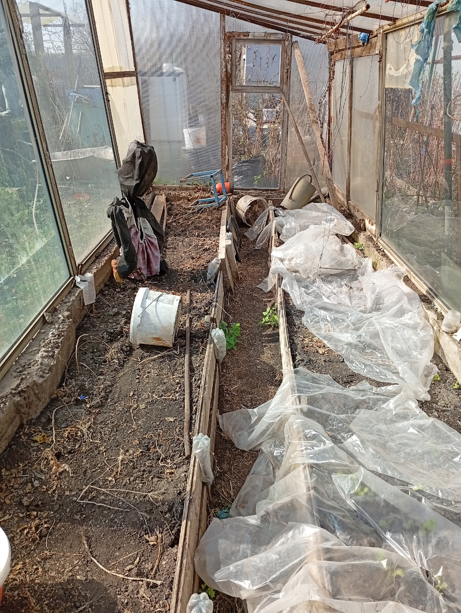 Теплица до посадки 