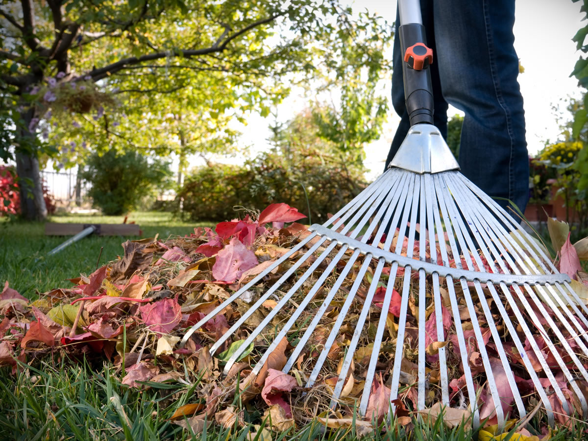 Источник: фото с сайта МГПУ