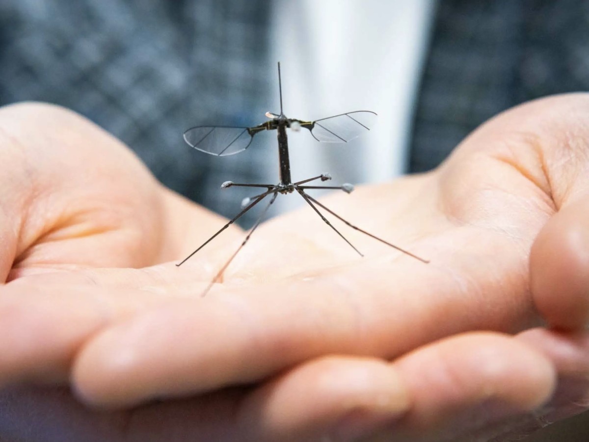    Робот-насекомое RoboBee научился аккуратно приземляться [ВИДЕО]