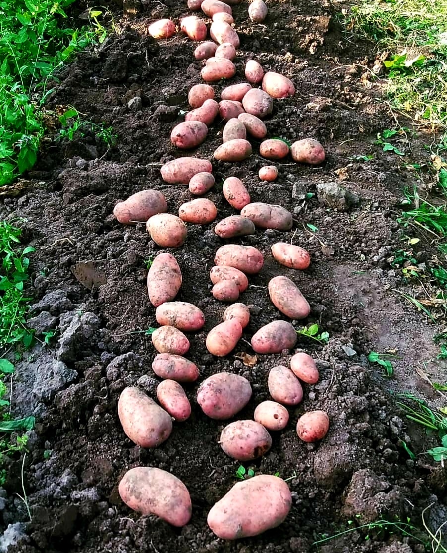 Фото автора.