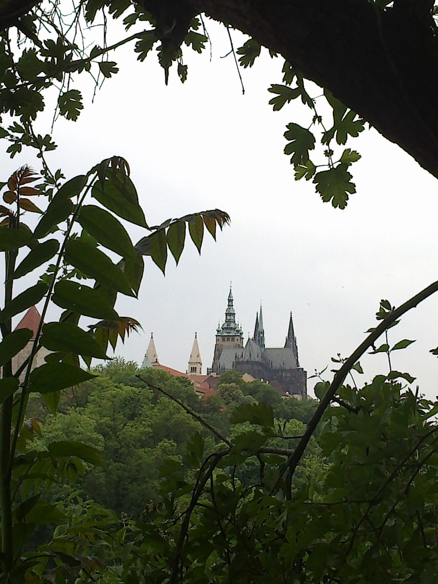 Пражский Град. Вид на Собор Святого Вита откуда-то из кустов. 2011 г.
