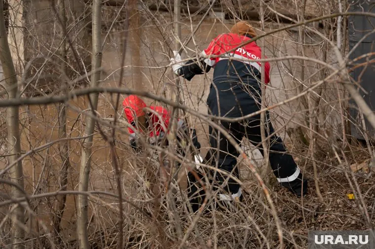 Подозрительный пакет нашли в Перми на городском субботнике
Фото: Руслан Яроцкий © URA.RU