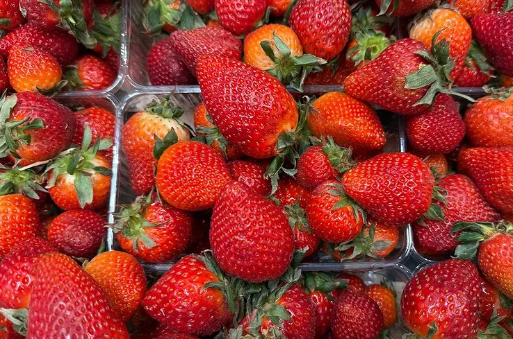 Лучшая подкормка для крупной клубники