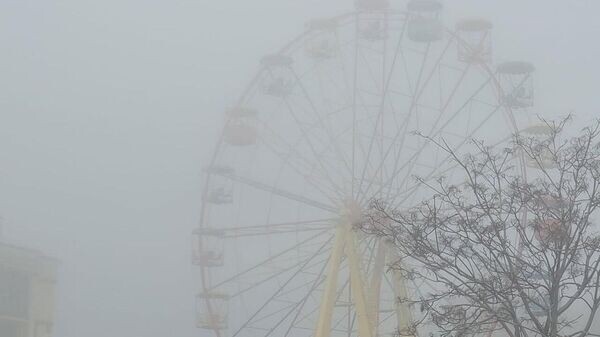    © Telegram Галина Огнева