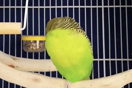 Фото из интернета 