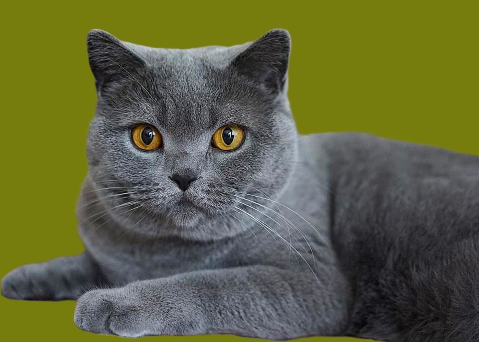 Глафира Ивановна.