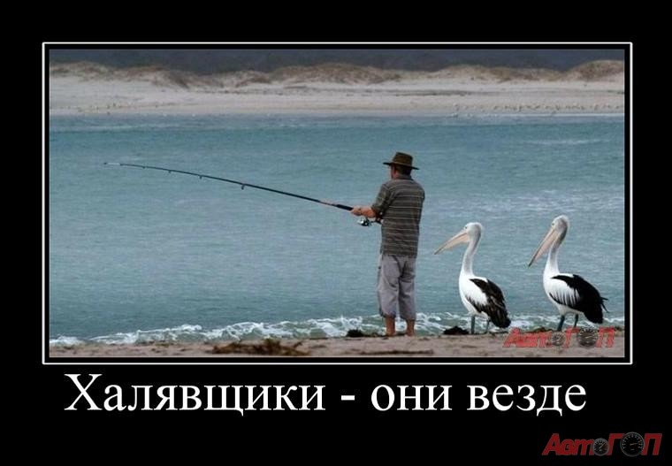 Картинка с просторов Интернета.