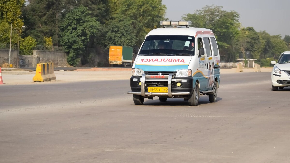    Фото: Rahul Sapra/Shutterstock/Fotodom