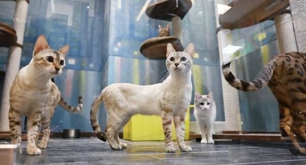    РИА «Новости»