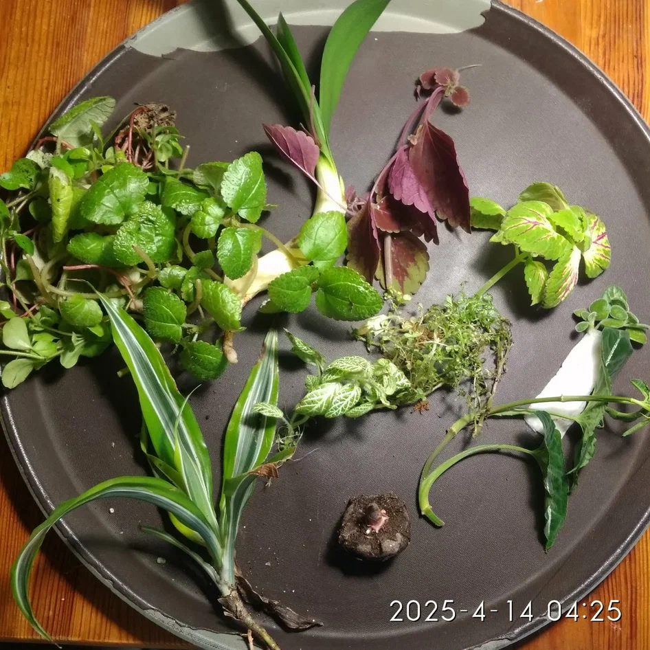 улов со свопа