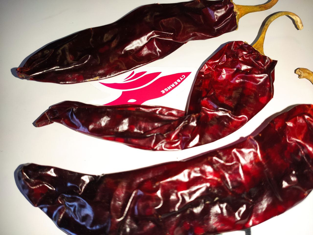 Шикарный Гуахильо