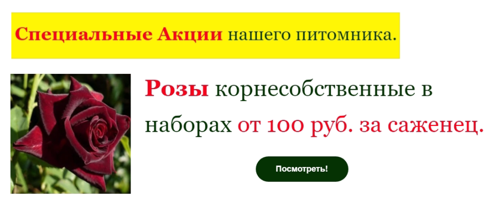 Фрагмент акции с главной страницы