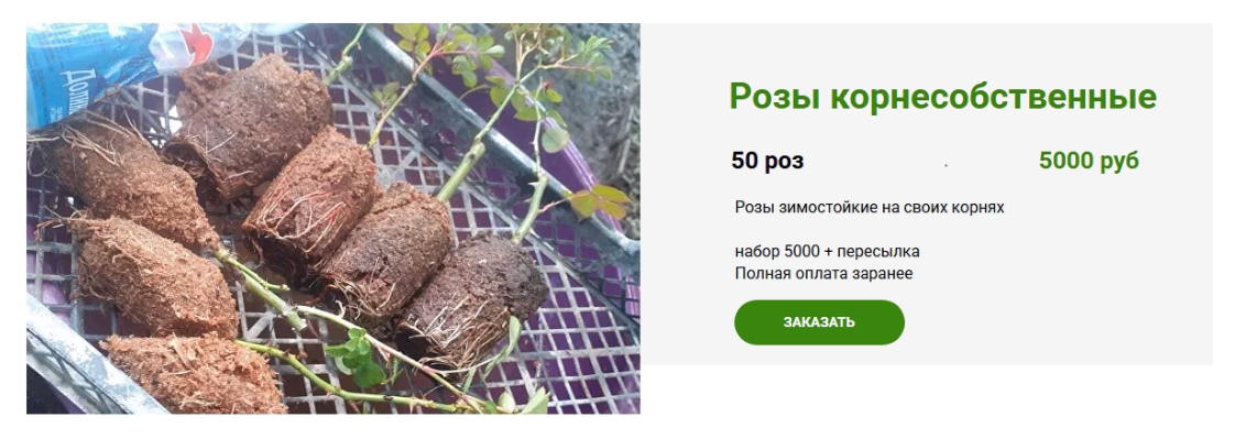 Фрагмент со страницы https://helen-trehrechniy.ru/rose-catalog