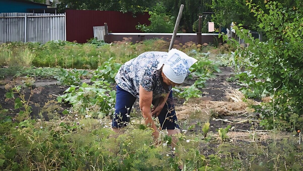     Источник: 1MI