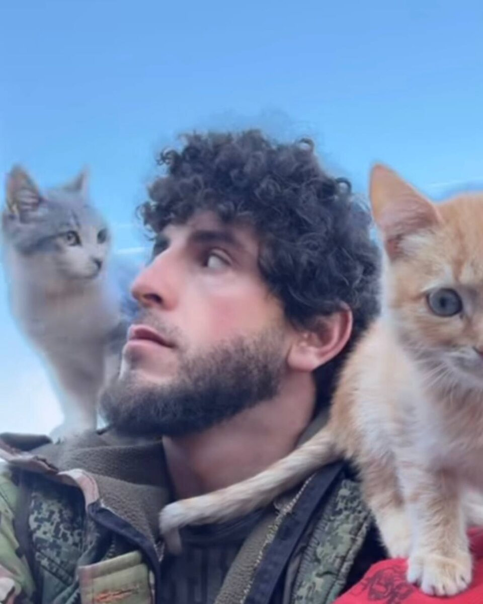 Знаменитый "греческий прфиль" это "кавказский нос". Так вероятно и выгоялели "древние грекки". Фито дагестанского фермера Тимура Далгатова.