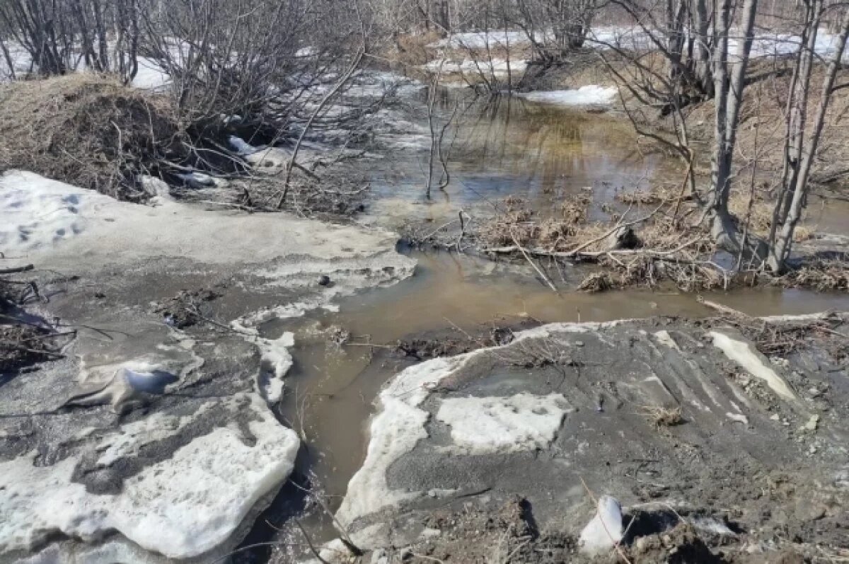    На Камчатке паводок подтопил микрорайон Радыгина