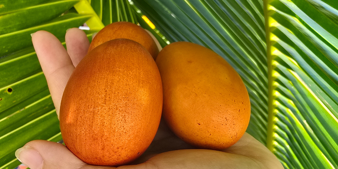 Пасха на Филиппинах. Как этот праздник здесь отмечается