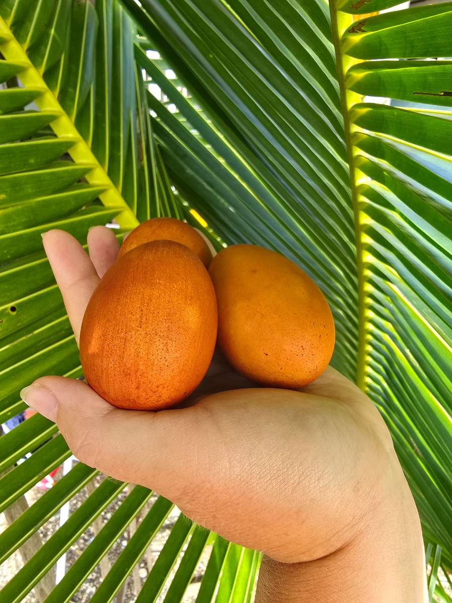 Отмечаем светлый праздник Пасхи на Филиппинах