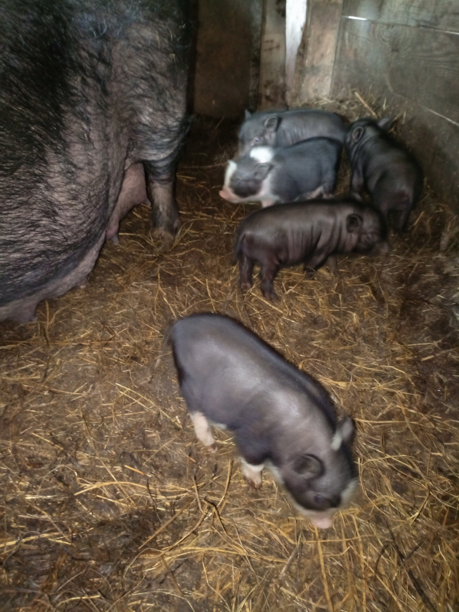 Фото из архива нашего лпх.