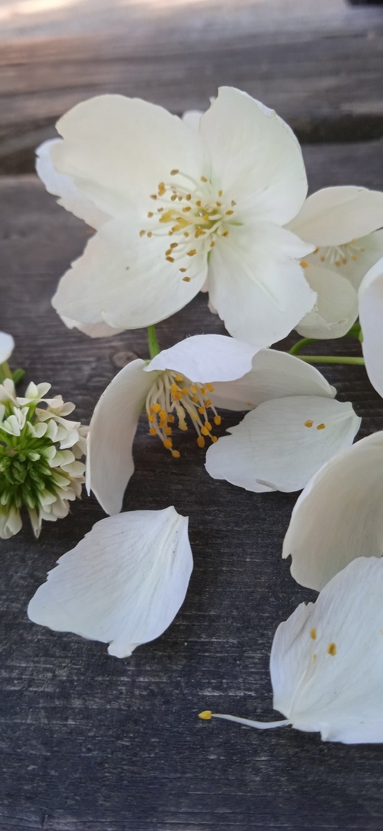 Все фото авторские