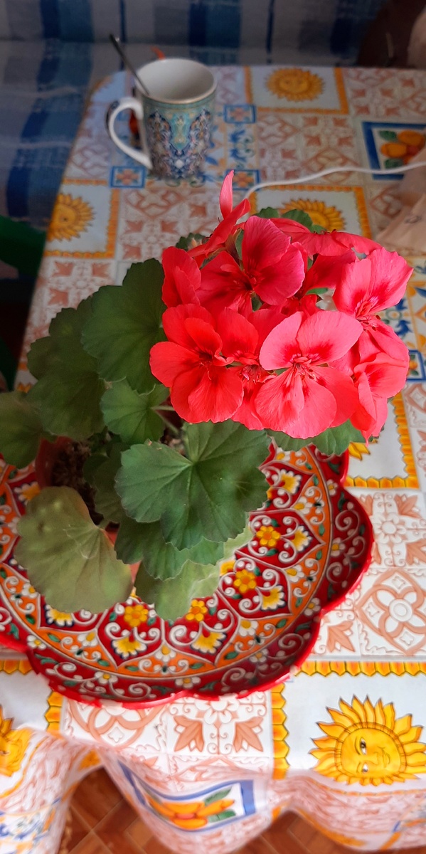 Весна на столе