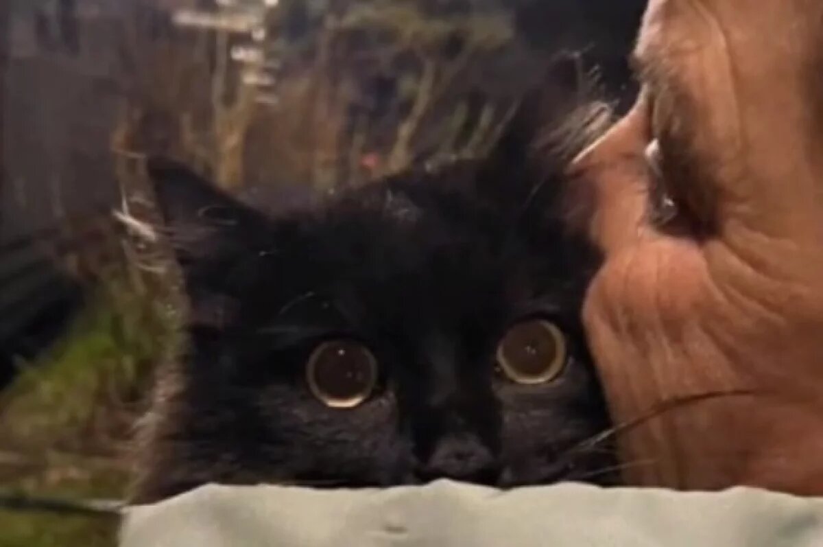    В Биробиджане в Пасхальную ночь случилось настоящее чудо