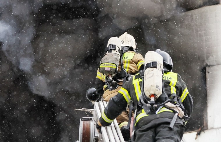    Алексей Белкин/NEWS.ru