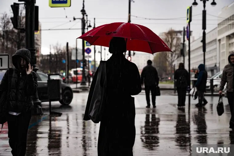 В среднюю полосу и северо-западные регионы России придет похолодание
Фото: Руслан Яроцкий © URA.RU