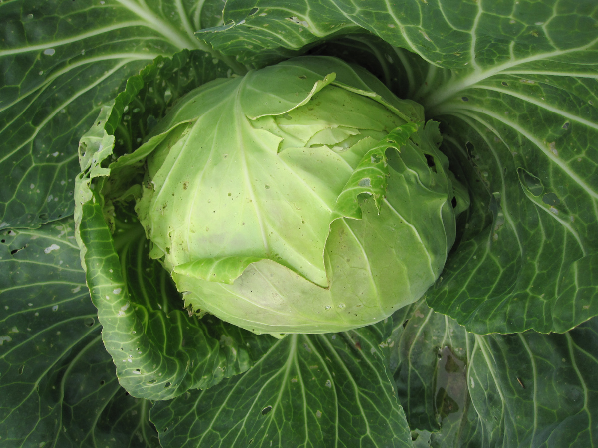 Фото из личного архива автора.