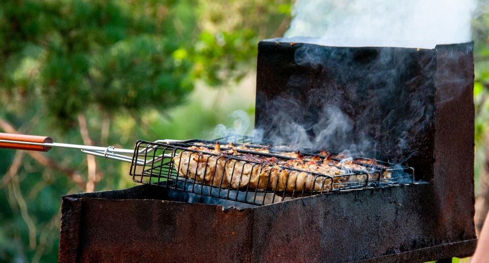    Svetlana Vozmilova/Global Look Press / www.globallookpress.com