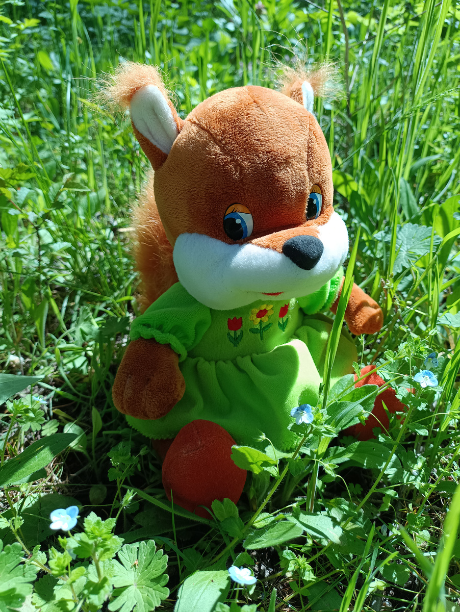 Земляничка на лугу.