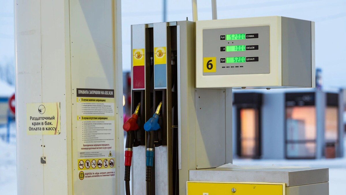    Фото: Юлия Чудинова/«Ямал-Медиа»