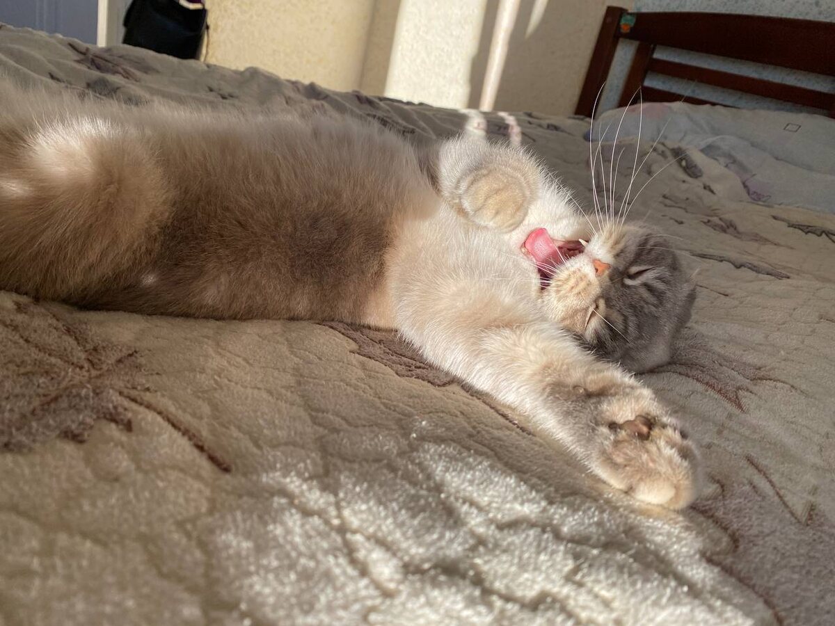 Кевин Фадеев