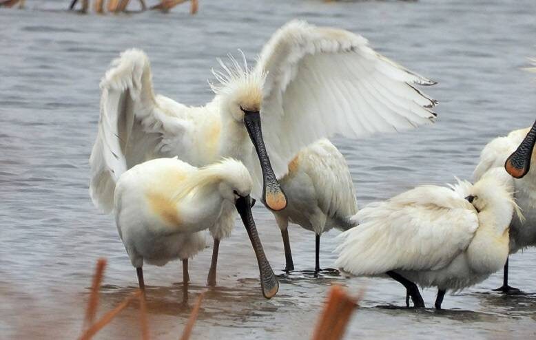    Источник фото: Ольга Васик