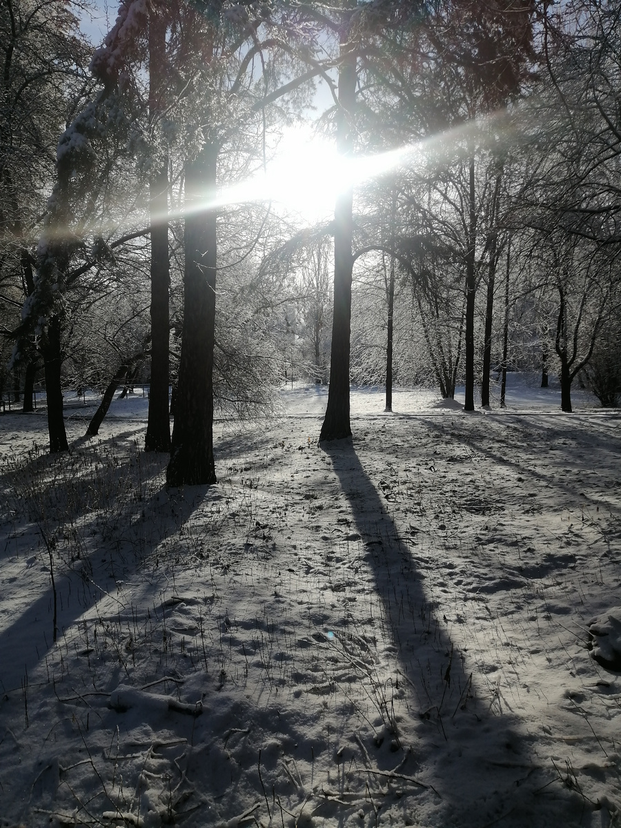 Снег был 2 недели назад. Личное фото. 