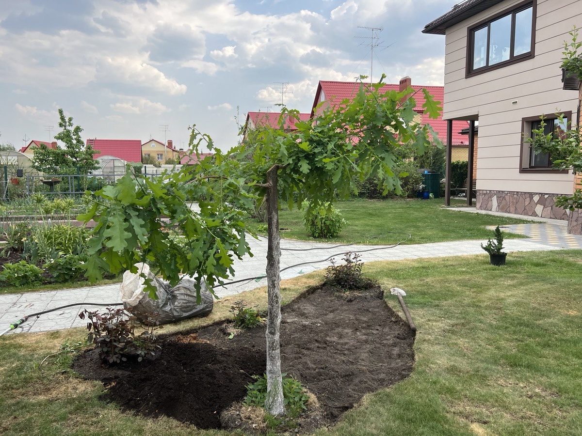 Фото автора канала Дом с кипарисами.