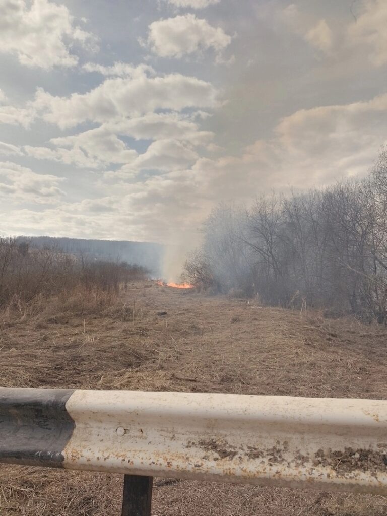   Фото: группа поисково-спасательной службы Кунгурского округа/VK Ульяна Бажанова