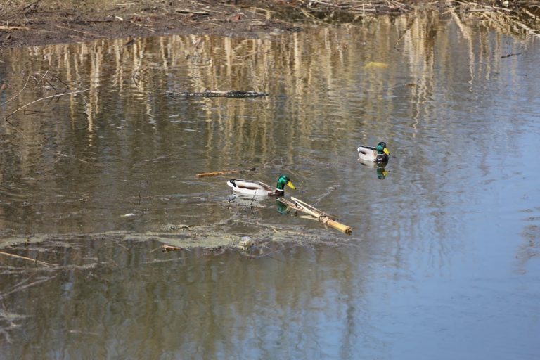    В Оренбуржье продолжается понижение уровня воды в реках Оренбуржье
