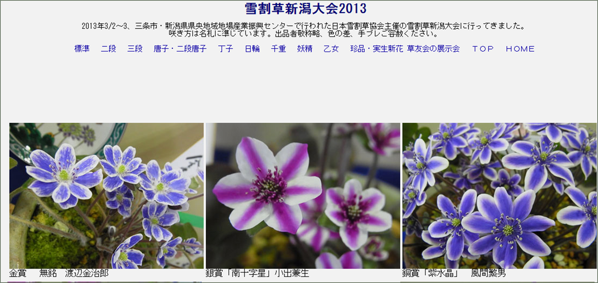 Призеры конкурса "Лучшая печеночница префектуры Ниигата - 2013", стандартная цветочнаая секция, источник: kakuda.s55.xrea.com