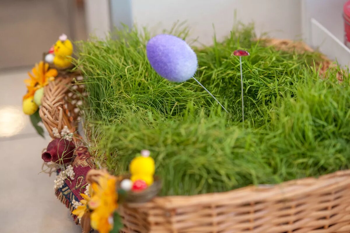 © Sputnik / Asatur Yesayants