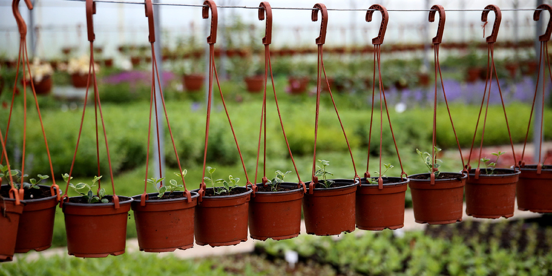 Подборка из более 50 крутых идей для обустройства сада