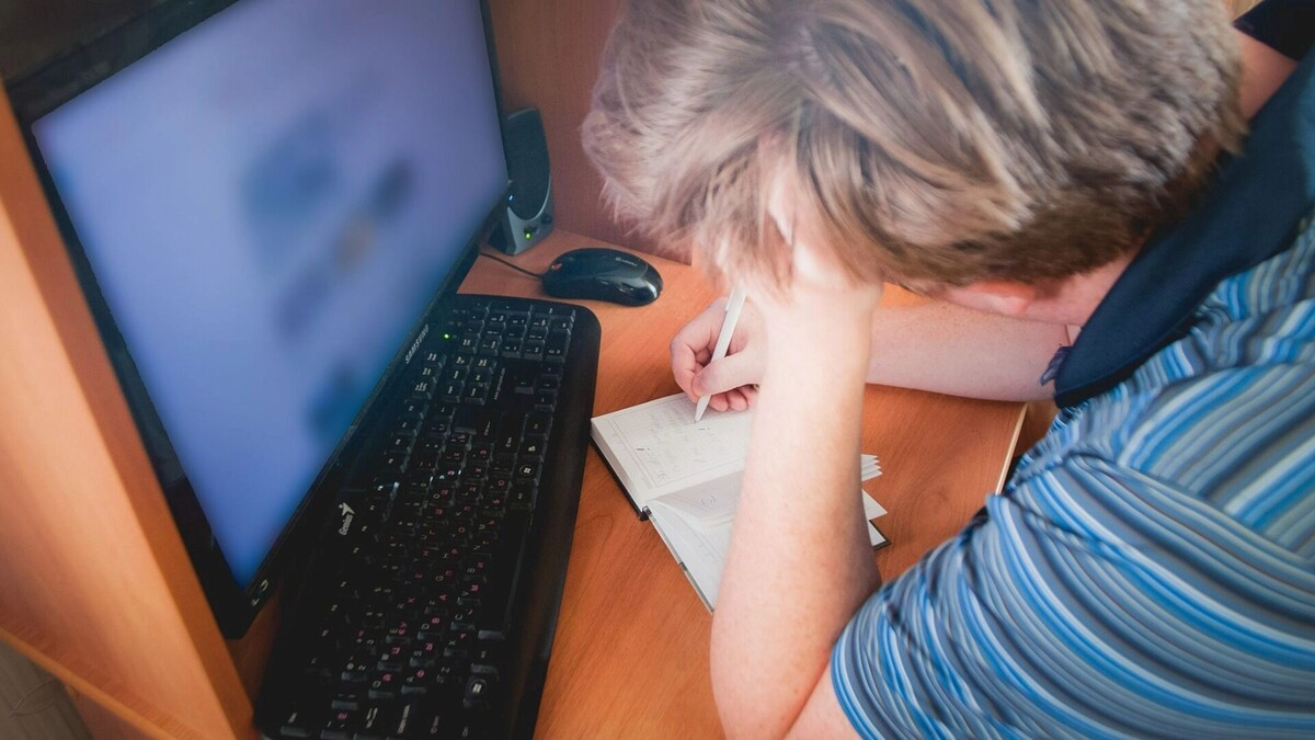     Источник: 1MI