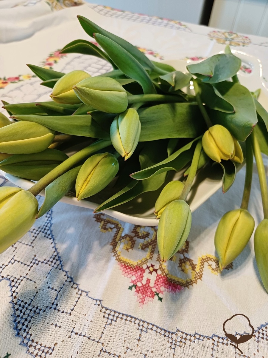 (фото автора)