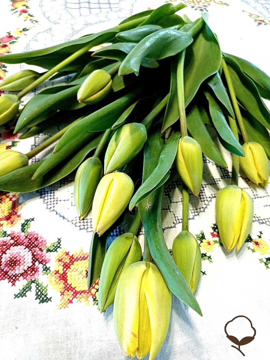 (фото автора)