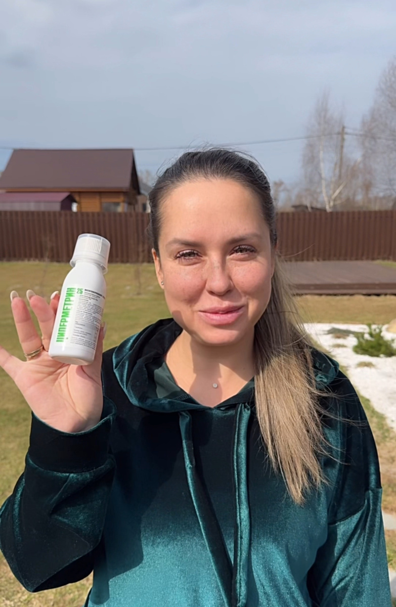 Вот так он выглядит 