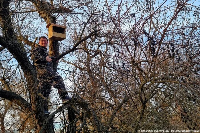 Повесили на деревьях ящики посмотреть, кто поселится. Делюсь результатами⁠⁠